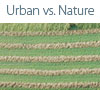 urban vs. nature